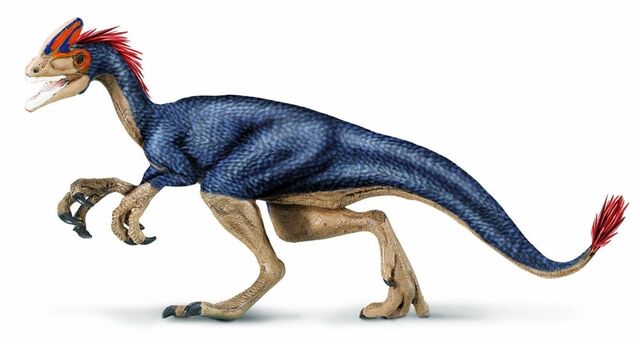 File:Small tyrant.jpg