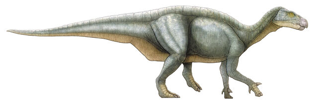 File:Iguanodon-britannica.jpg