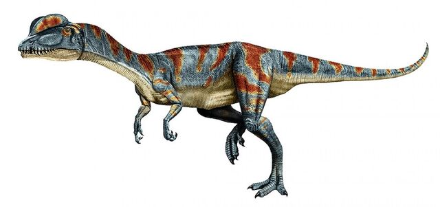 File:Dilophosaurus.jpg