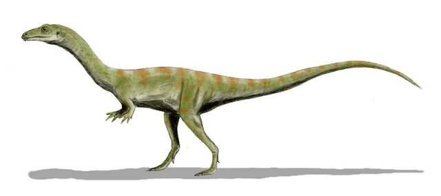 File:Shuvosaurus.jpg