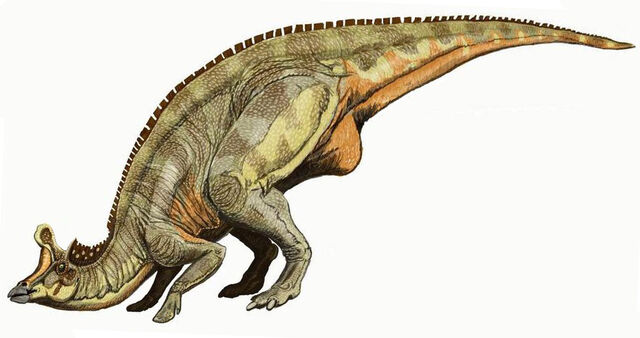 Datei:Lambeosaurus dinosaur.wiki.jpg