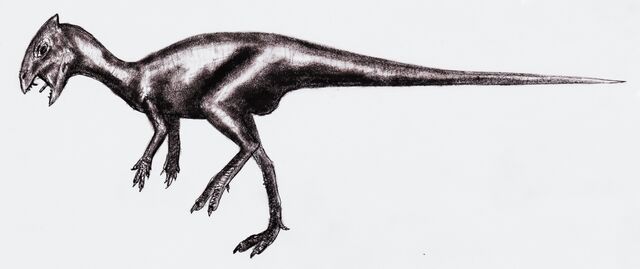 Datei:Goyocephale dinosaur.wiki.jpg