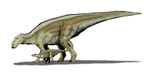 Datei:Maiasaura dinosaur.wiki.jpg