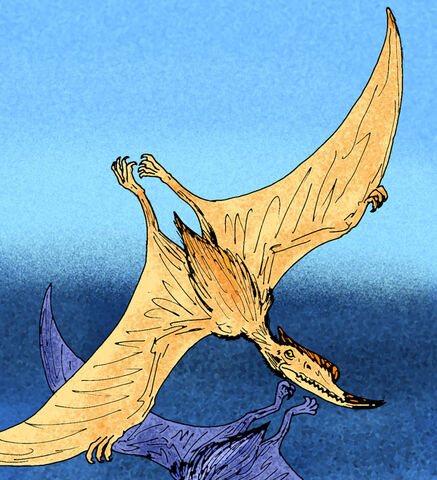 Datei:Dsungaripterus dinosaur.wiki.jpg