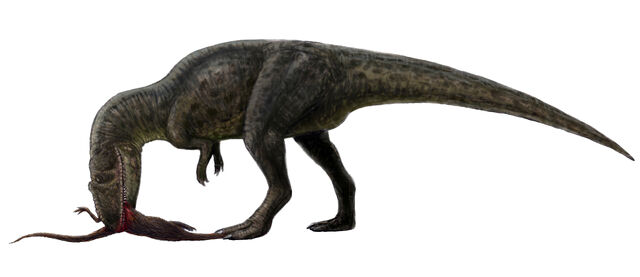 Datei:Shaochilong dinosaur.wiki.jpg
