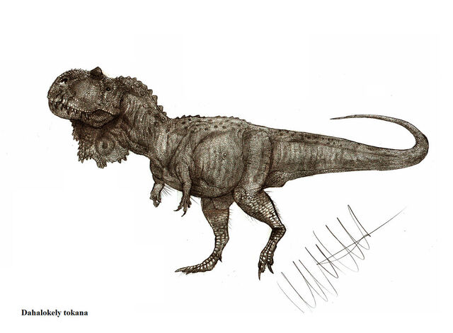 Datei:Dahalokely dinosaur.wiki.jpg