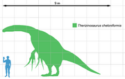Therizinosaurus dinosaur.wiki Größenvergleich
