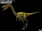 Coelophysis
