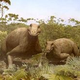 Therapsid