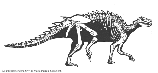 File:Minmi skeleton.gif