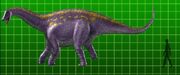 Dicraeosaurus