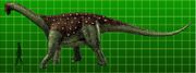 Saltasaurus
