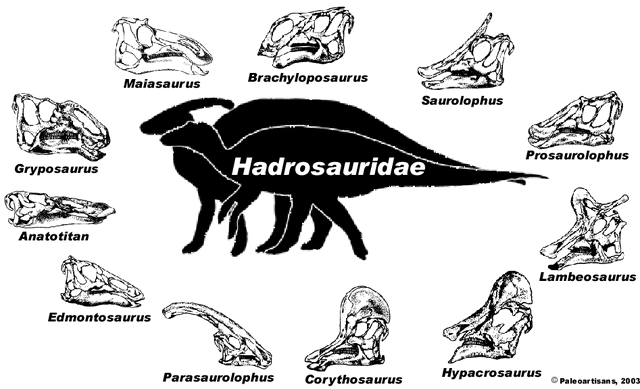 File:Hadrosaurs.gif