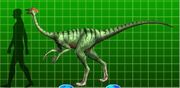 Dromiceiomimus