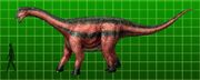 Opisthocoelicaudia