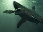 Sharkvsmosasaur