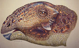 Tatankacephalus