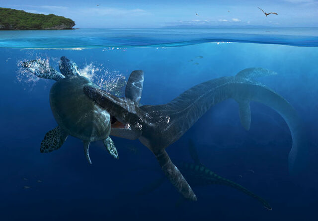 File:Tylosaurus Archelon FULL.jpg