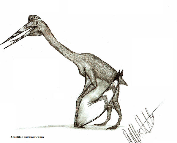 File:Aerotitan sudamericanus by teratophoneus-d5lgg7y.jpg