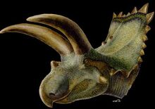 Coahuilaceratops