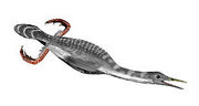220px-Hesperornis BW