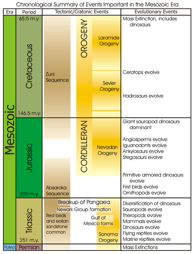 mesozoic era dinopedia fandom powered by wikia mesozoic era chart
