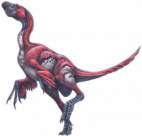 File:Oviraptor philocerataops.gif