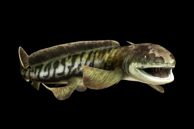 File:OrthacanthusPrehistoricTerrors.jpg