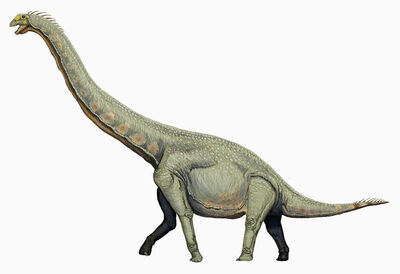 Euhelopus-wikimedia