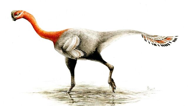 File:Apatoraptor pennatus.jpg