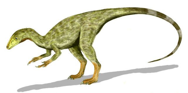 File:Compsognathus BW3.jpg