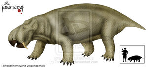 Sinokannemeyeria yingchiaoensi