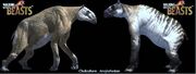 Chalicotheres