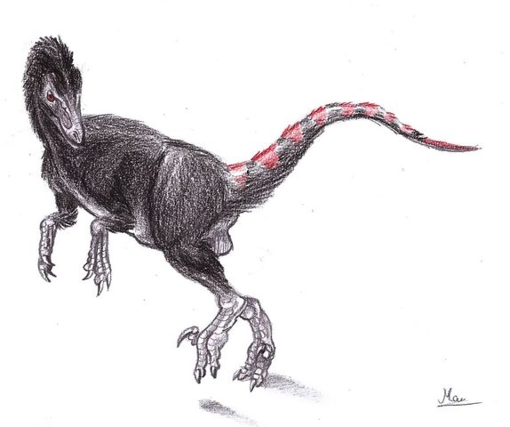 File:Bradycneme by moricemonkey93-d6oazuh.jpg