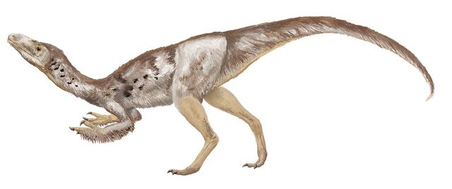 File:Tanycolagreus topwilsoni df30.jpg