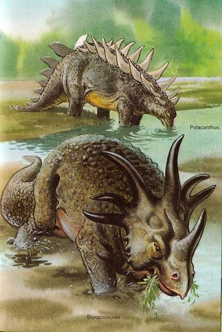 File:Styraco and polacanthus.jpg