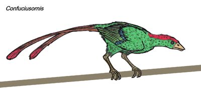 Confuciusornis1