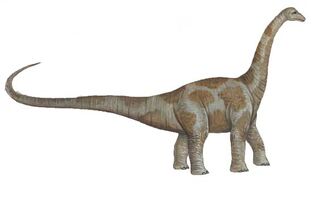 Pcab123 aepisaurus