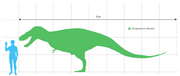 800px-Gorgosaurusscale.svg