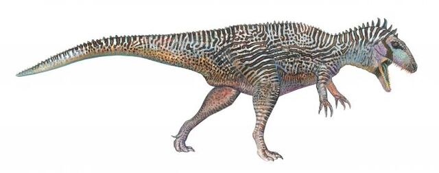 File:Carcharodontosaurus1213.jpg
