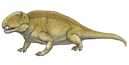 Sphenacodon Dinopedia FANDOM powered by Wikia