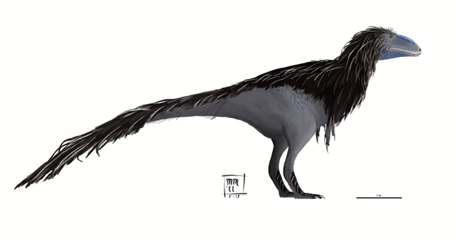File:Sinotyrannus.png