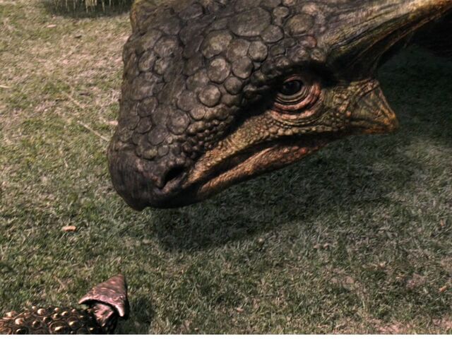 File:Ankylosaur adult and juvenile.jpg