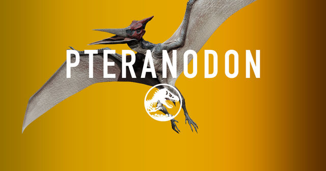 File:Jurassic-world-pteranodon-share.jpg