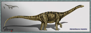 Adamantisaurus mezzalirai 2copia