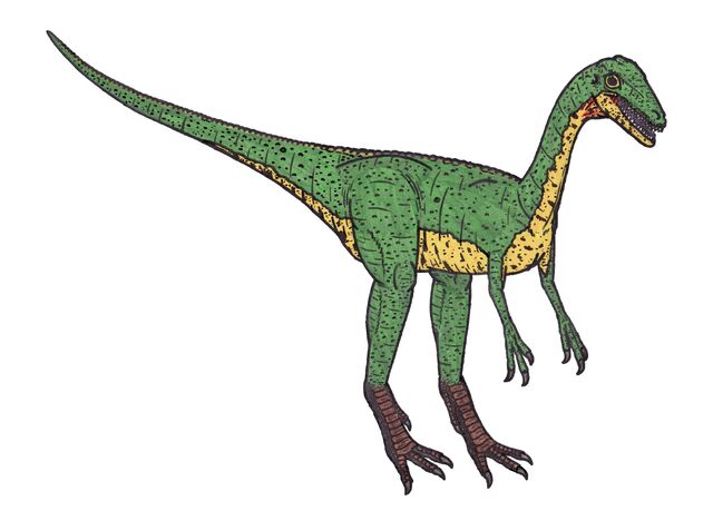 File:Compsognathus 95898.jpg