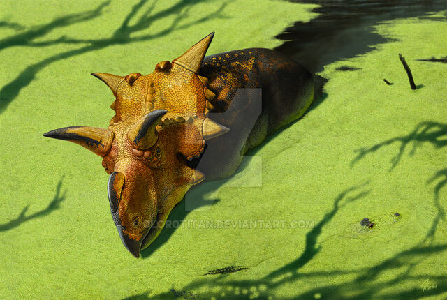 File:Xenoceratops by olorotitan-d5mpb76.jpg