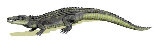 File:Mahajangasuchus body.jpg