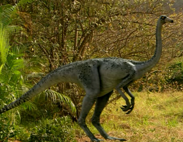 File:Ornithomimus infobox.png
