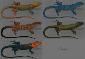 Chamops designs
